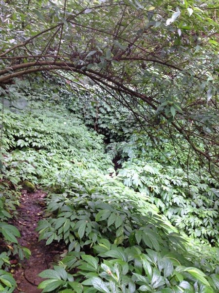 風櫃嘴-疑無路