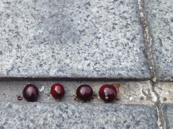 鶯歌陶博館-11.JPG