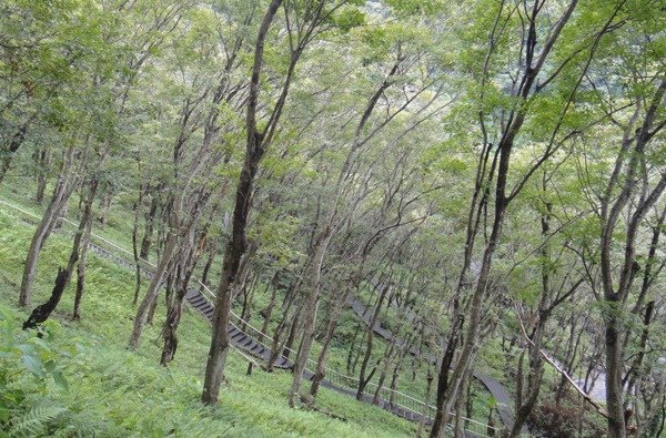 石門水庫-環山步道