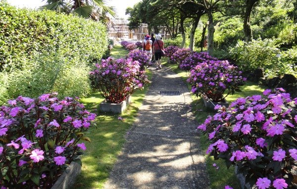 濟州島(6)-香草花園