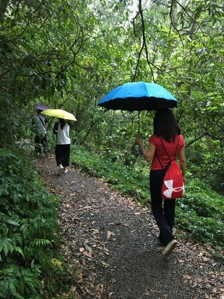 福山-8_雨中漫步