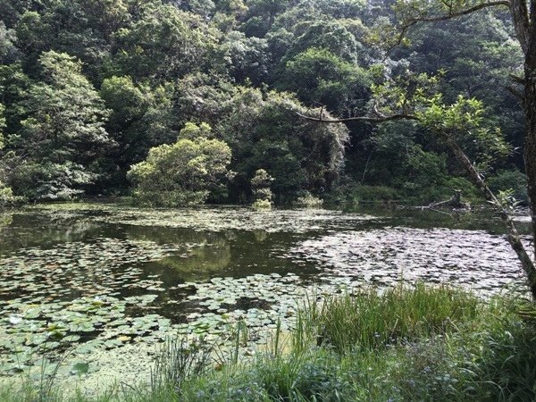 福山-22_水池幻化