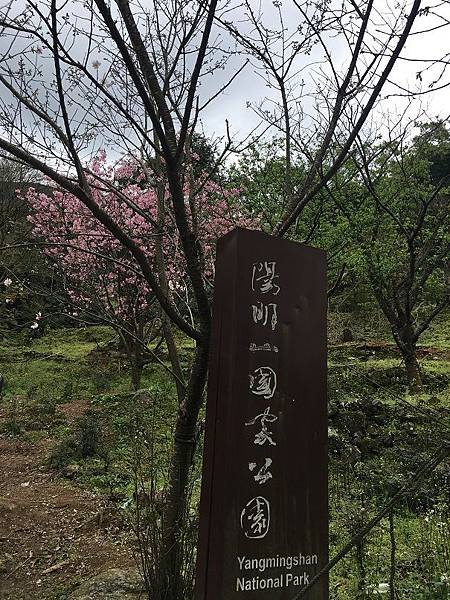 淡水楓樹湖-1
