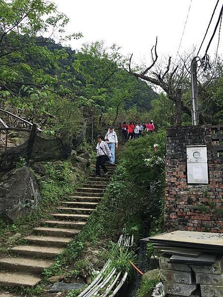 淡水楓樹湖-14