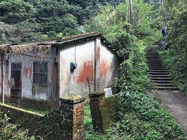 淡水楓樹湖-18