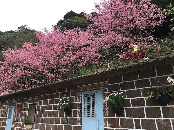 淡水楓樹湖-27
