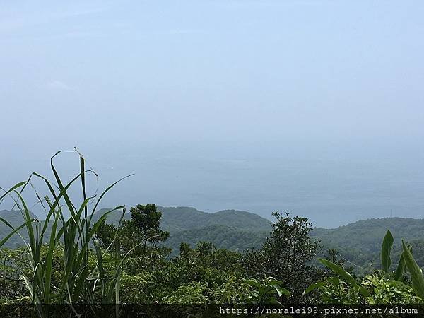 坪溪古道-15.JPG