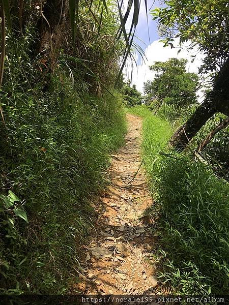 坪溪古道-18.JPG