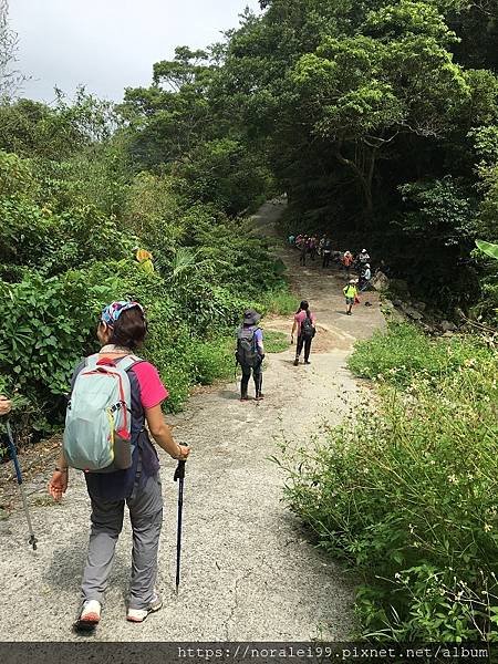 坪溪古道-24.JPG