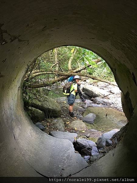 坪溪古道-27.JPG