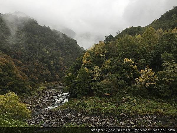 司馬庫斯(1)_10.JPG