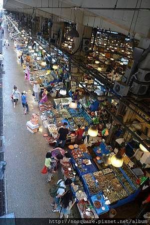 P1090135.jpg