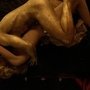 Spartacus.Blood.and.Sand.S01E09.HDTV.XviD-SYS.avi_002615779.jpg