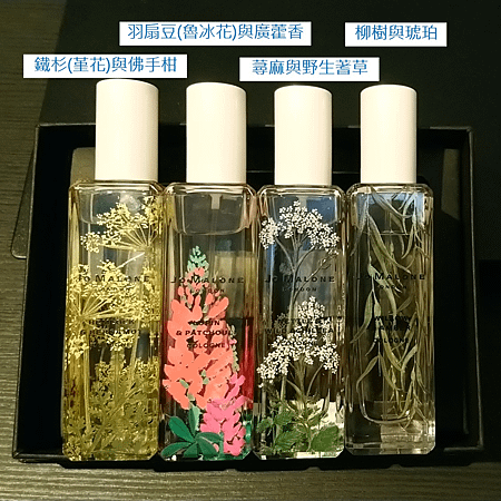 【Jo Malone 2019 英倫限定系列 運河花草】運河