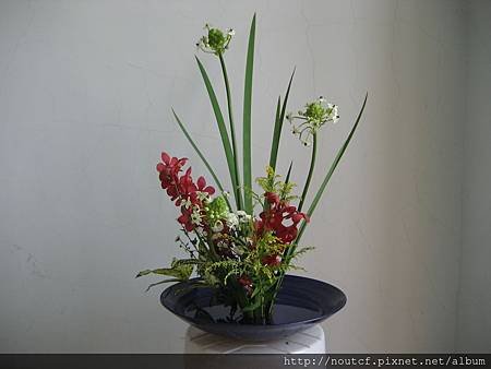 IMG_1349.JPG