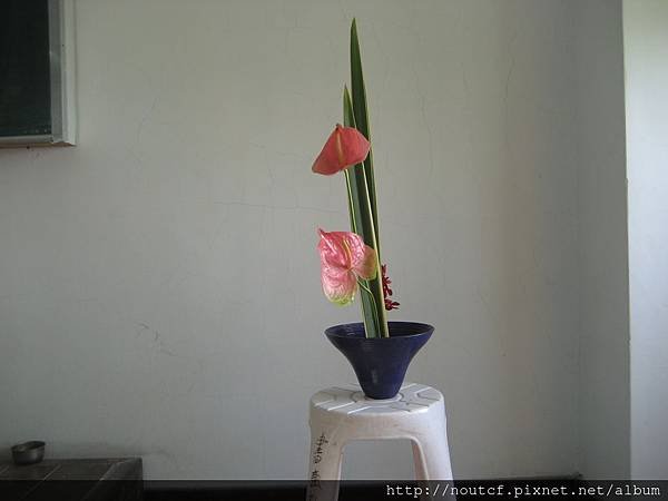 IMG_1446.JPG