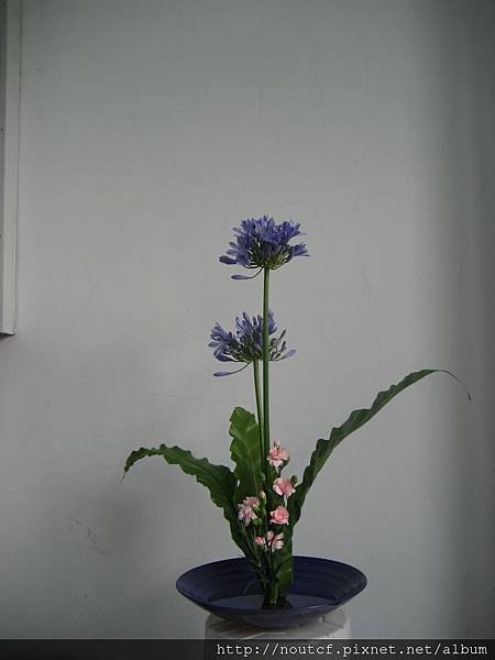 IMG_2914.JPG