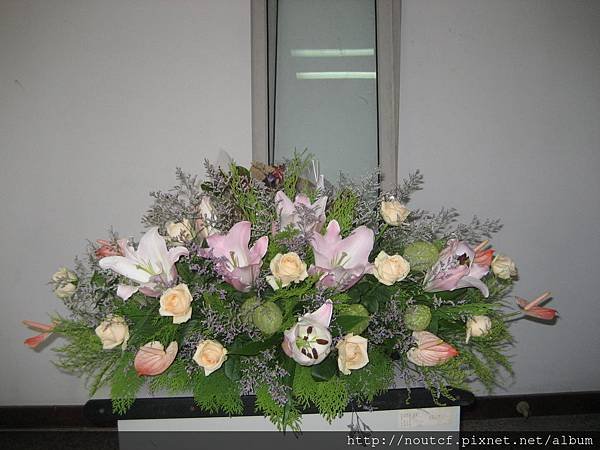 IMG_3155.JPG