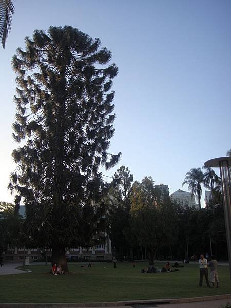 DSC04686.JPG