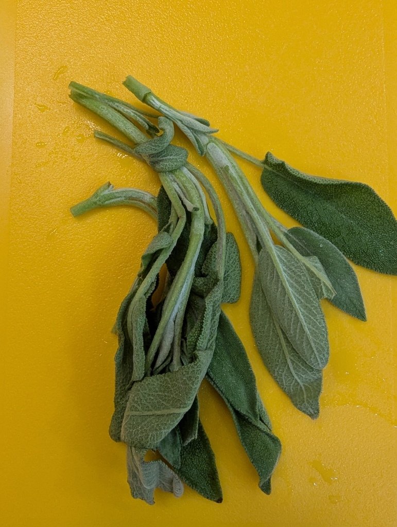 食譜分享 奶油鼠尾草雞肉義大利麵