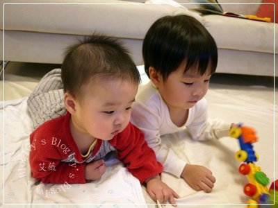 20111204[宇3Y4M12D&amp;安6M20D] 兄弟倆_2.JPG