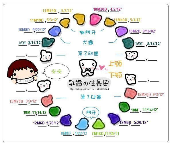 安安乳牙生長圖-[18M] 20121114 長16顆牙了