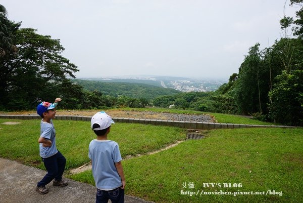 仁和步道賞桐花_13.JPG