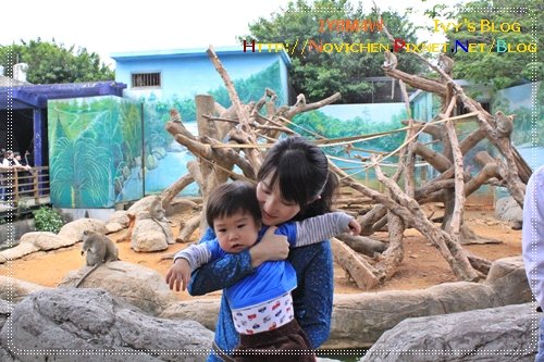 [1Y8M4W] 0417 新竹動物園_7.JPG