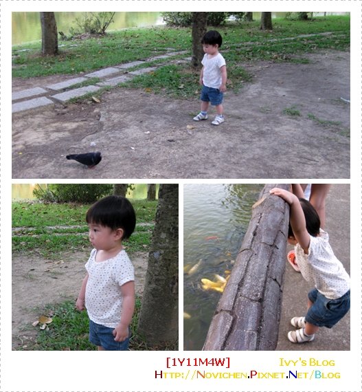 [1Y11M4W] 清大.JPG