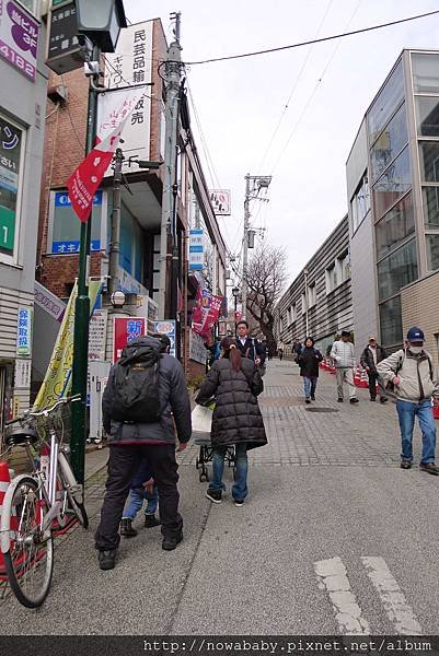 03大倉山公園賞梅花.JPG