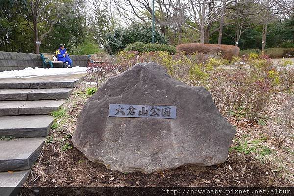 04大倉山公園賞梅花.JPG