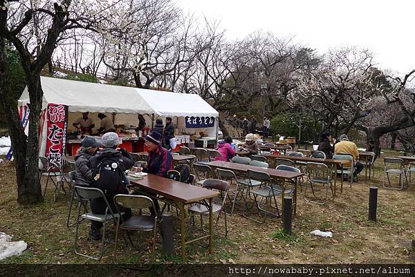 15大倉山公園賞梅花.JPG