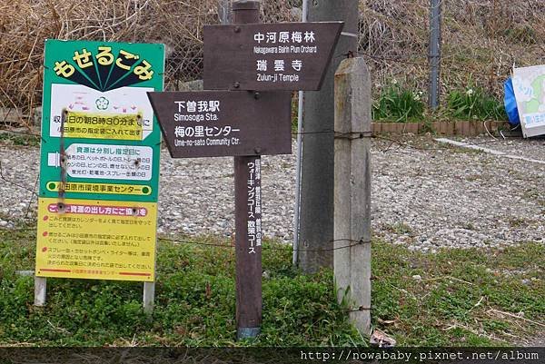 11往中河原梅林.JPG