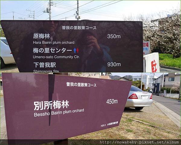 46原梅林.jpg