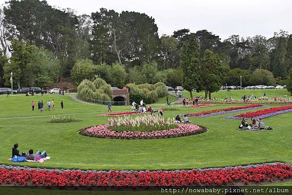 45Golden Gate Park.JPG