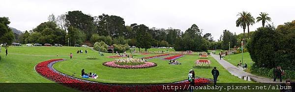 46Golden Gate Park.JPG