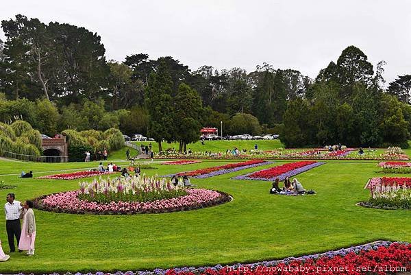 47Golden Gate Park.JPG