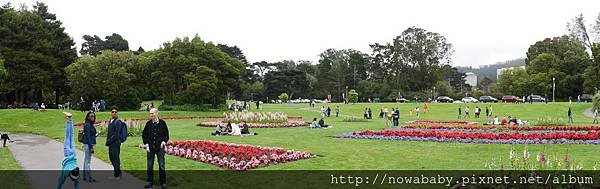 48Golden Gate Park.JPG