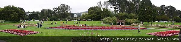 49Golden Gate Park.JPG