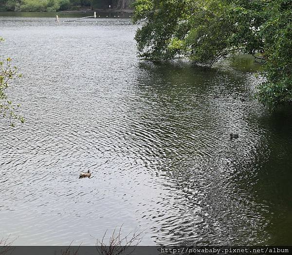 30Lake Anza.JPG