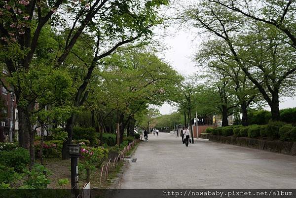 44隅田川公園.JPG