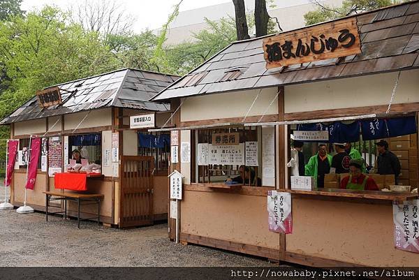 51根津神社看杜鵑.JPG