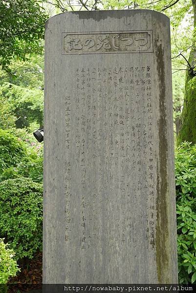 57根津神社看杜鵑.JPG