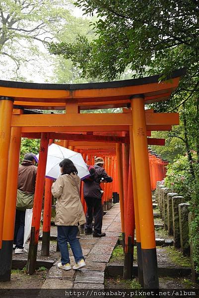 58根津神社看杜鵑.JPG