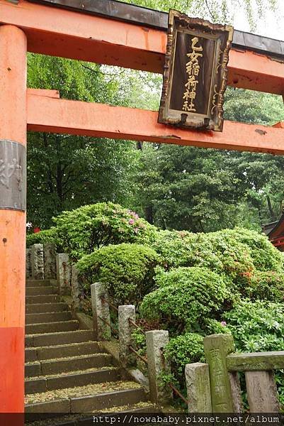 60根津神社看杜鵑.JPG