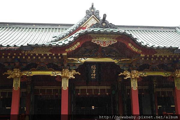 65根津神社看杜鵑.JPG