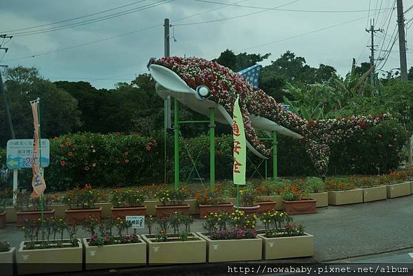 21即將抵達海洋博公園.JPG