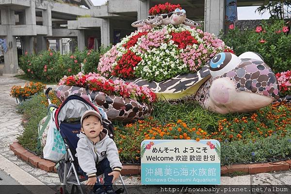 46海洋博公園.JPG