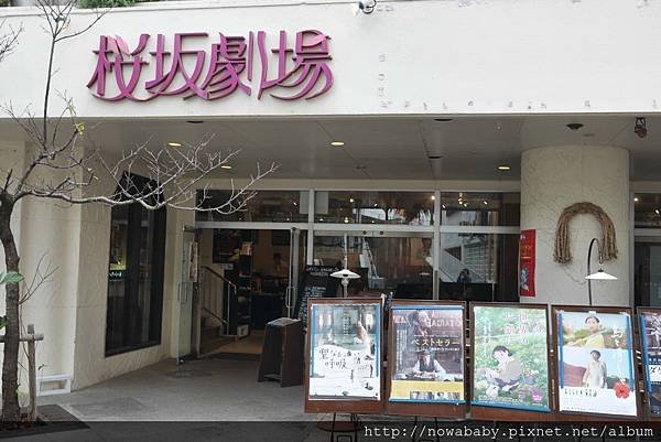 62櫻坂劇場.JPG