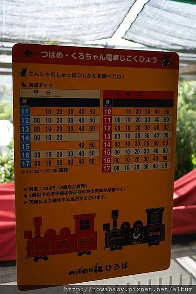 16JR博多城屋上燕子森林廣場.JPG